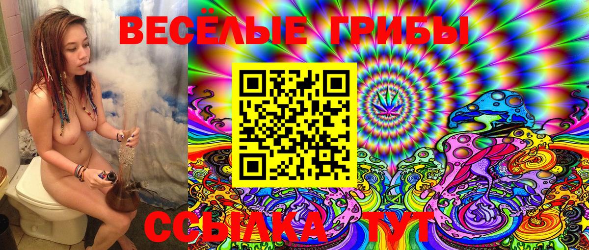 Елизово  Псилоцибиновые грибы MAGIC MUSHROOMS  Псилоцибиновые грибы Cubensis  Вход с VPN 